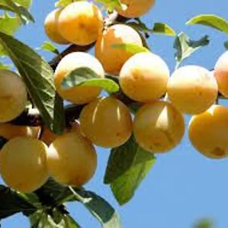 Avec Jardin Clos, Terrasse Et Wi-fi, Proche De Verdun - Fr-1-585-42 Vakantiehuis *