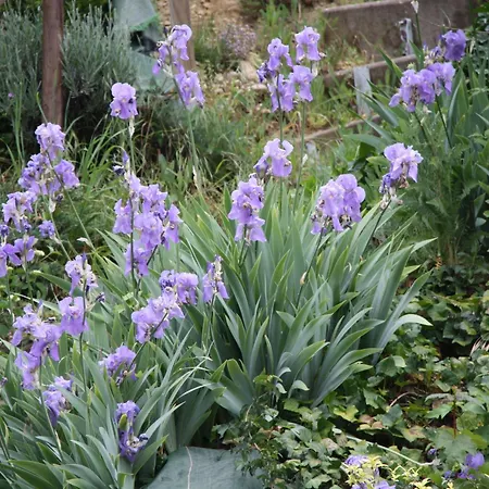 Avec Jardin Clos, Terrasse Et Wi-fi, Proche De Verdun - Fr-1-585-42 Vakantiehuis *