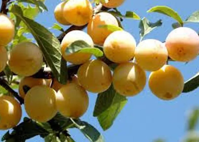 Avec Jardin Clos, Terrasse Et Wi-fi, Proche De Verdun - Fr-1-585-42 Prázdninový dům *