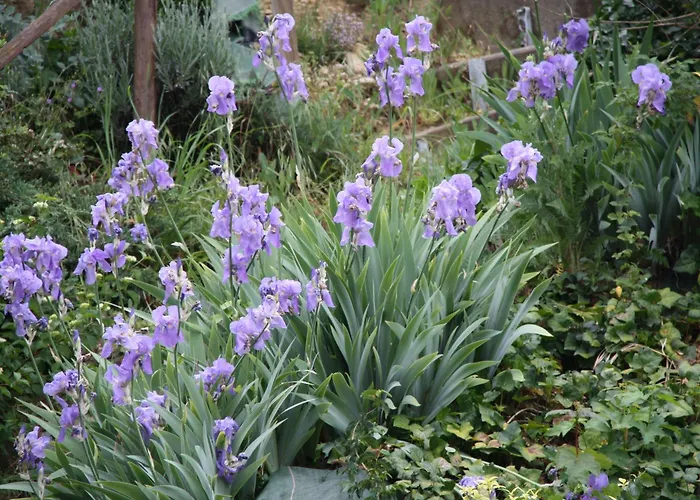 Avec Jardin Clos, Terrasse Et Wi-fi, Proche De Verdun - Fr-1-585-42 Prázdninový dům *